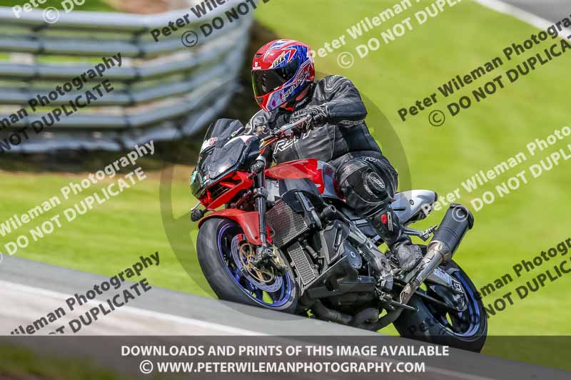 PJ Motorsport 2019;anglesey;brands hatch;cadwell park;croft;donington park;enduro digital images;event digital images;eventdigitalimages;mallory;no limits;oulton park;peter wileman photography;racing digital images;silverstone;snetterton;trackday digital images;trackday photos;vmcc banbury run;welsh 2 day enduro